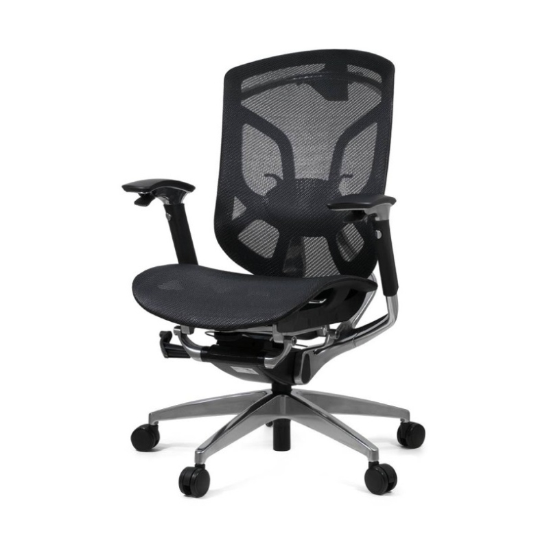 Эргономичное кресло GT Chair Dvary DV-10E GT-12, без подголовника