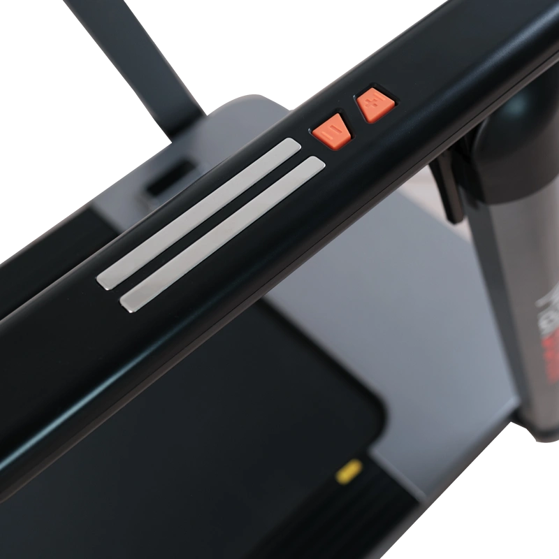 Беговая дорожка Ergonova MaxBurn Pro 2