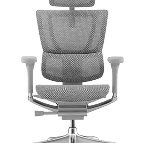Эргономичное кресло Falto IOO E Elite (электроуправление, SmartWork, алюминий, наклон вперёд, сетка, серый)