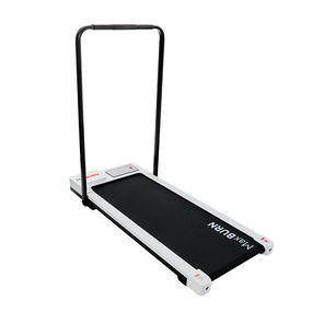 Беговая дорожка Ergonova MaxBurn Mini