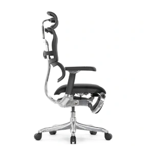 Эргономичное кресло Falto Ergohuman 2 Luxury с подножкой (SmartWork, алюминий, наклон вперёд, сетка, чёрный)