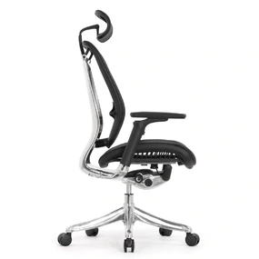 Эргономичное кресло Falto Spring 2 (поясничный валик, подлокотники 6D (360), сетка, чёрный)