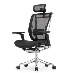 Эргономичное кресло Falto Spring 2 (поясничный валик, подлокотники 6D (360), сетка, чёрный)