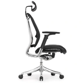 Эргономичное кресло Falto Spring 2 (поясничный валик, подлокотники 6D (360), сетка, чёрный)