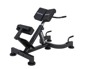 Гиперэкстензия/Римский стул DFC MAXXUS